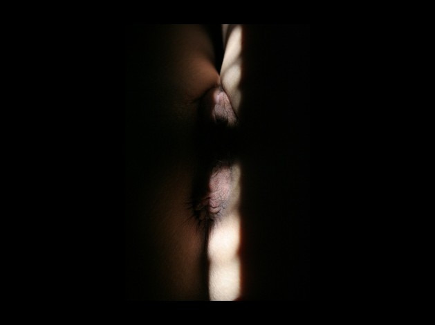 Galerie-12 1363