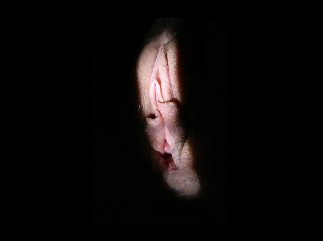 Galerie-12 1365