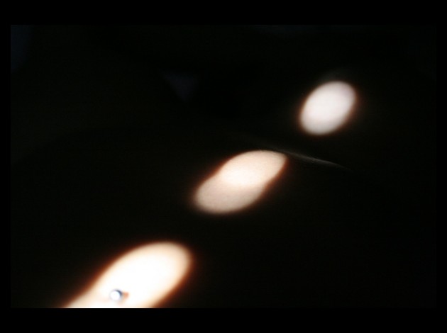 Galerie-12 1367