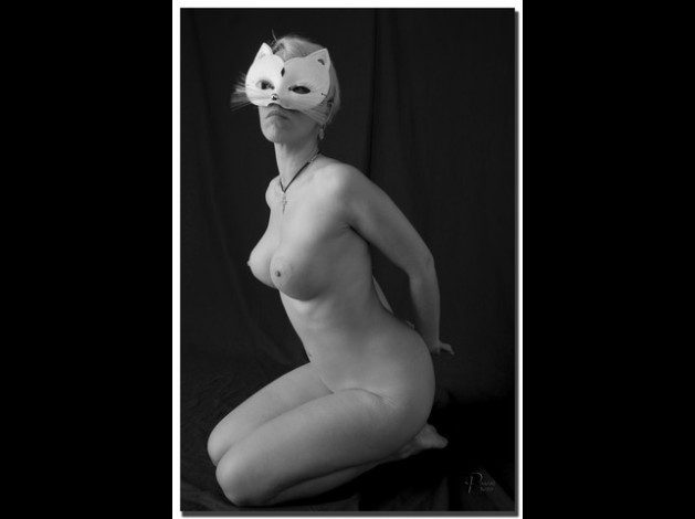 art pascal 6