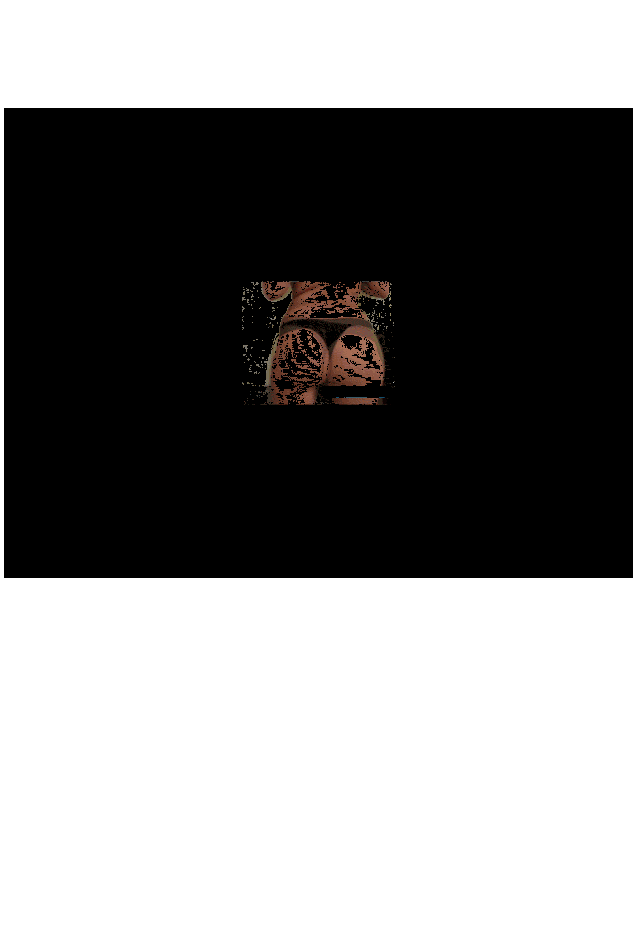 160x600