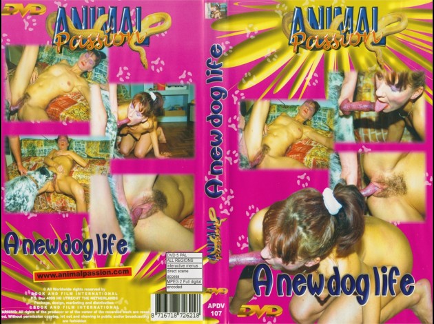 animal passion a new dog life