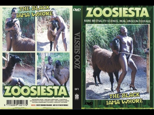 zoo siesta the black lama whore