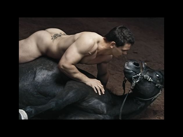 dievx-dv-stade-2011-naked-stallion-butt
