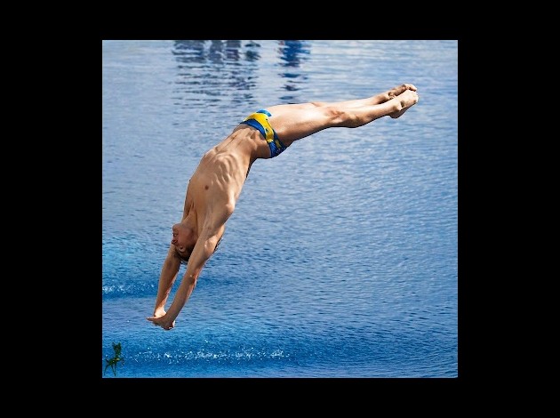 plongeon