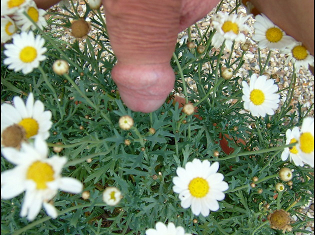 DSCF7424
