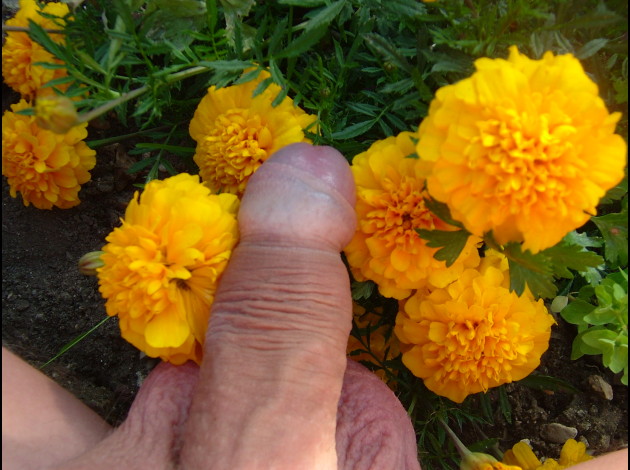 DSCF7882