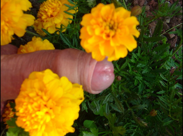 DSCF7884