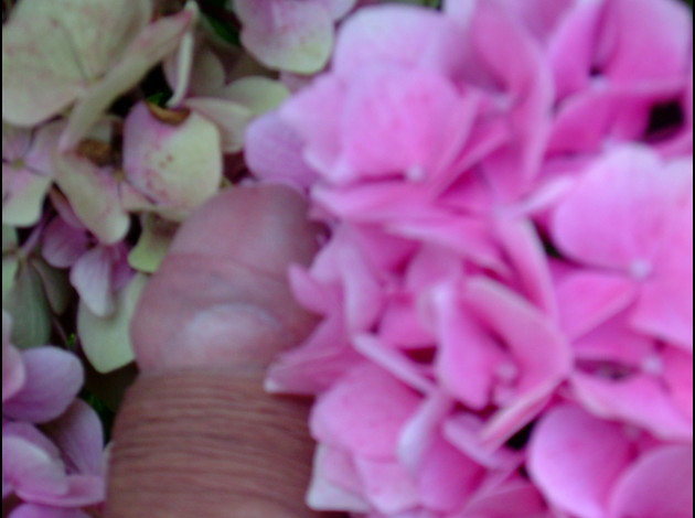 DSCF7909