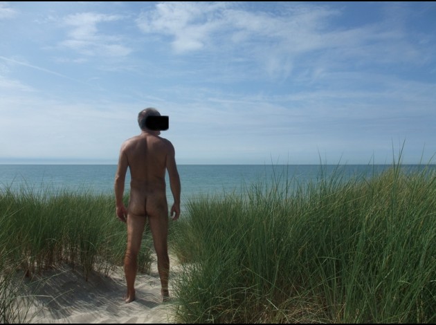 Milo dans les dunes de Berck