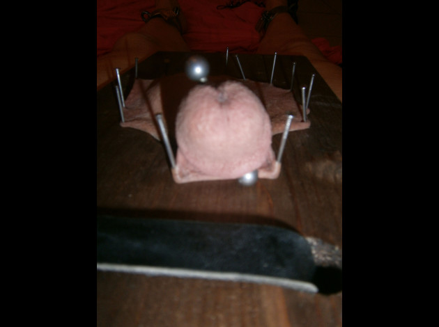 P7050076