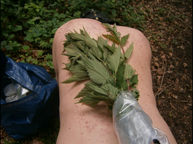 P6050097