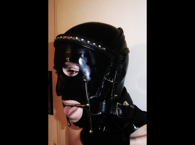 pony slave