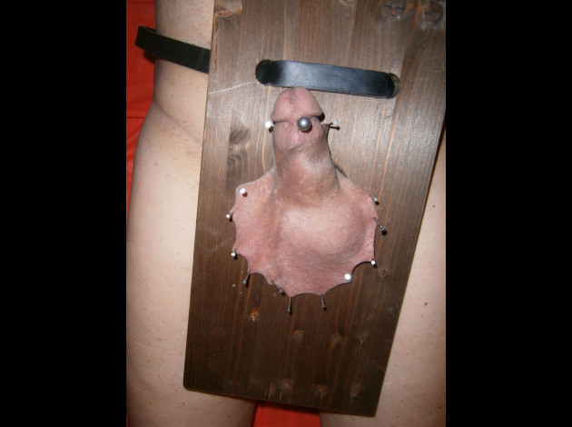 P7050073