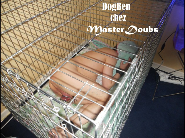 2014 Apr01 DogBen 20