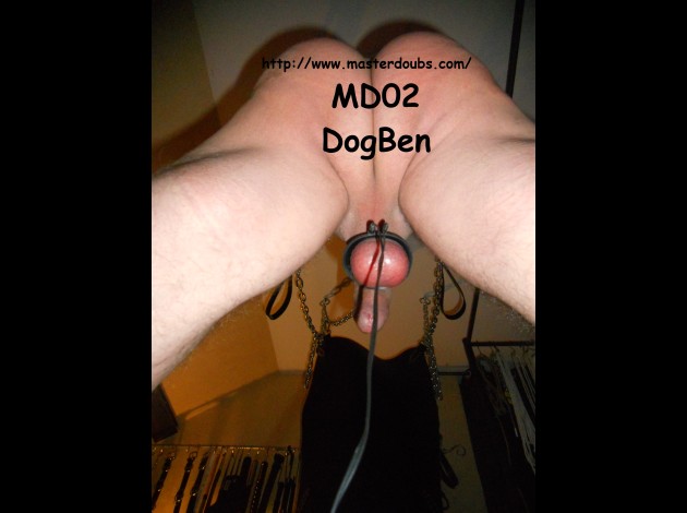 2014.Nov MD02 DogBen (01)