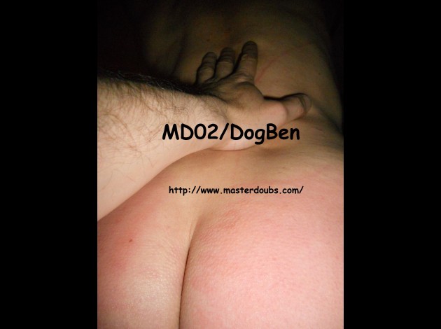 2014.Nov MD02 DogBen (02)