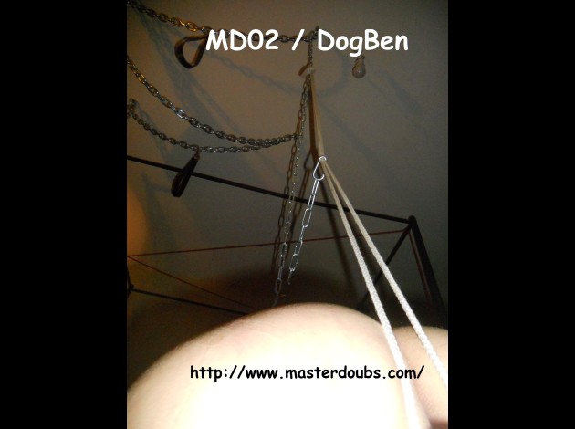 2014.Nov MD02 DogBen (7)