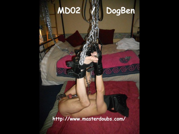 2014.Nov MD02 DogBen (38)