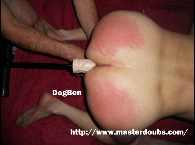 DogBen Jun14 (5)