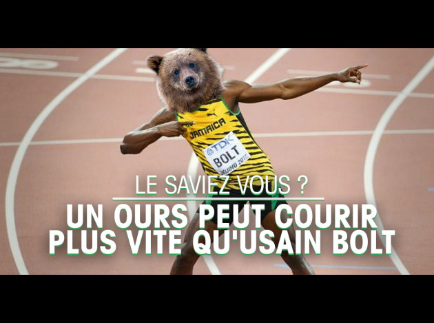 ours qui v bz 5