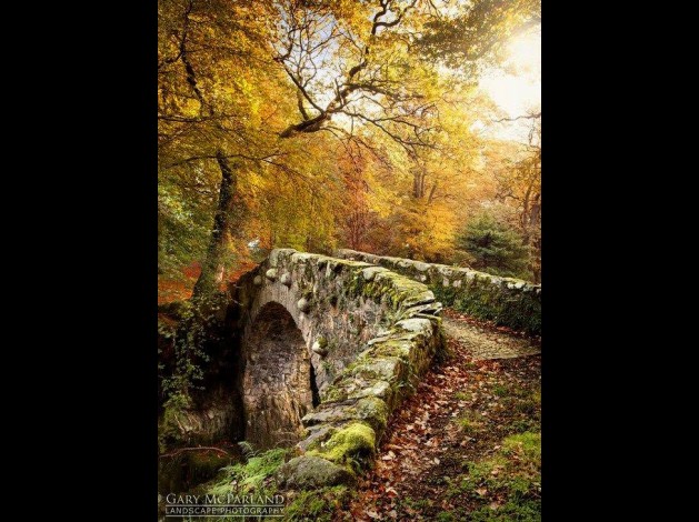 PONT DE BOIS