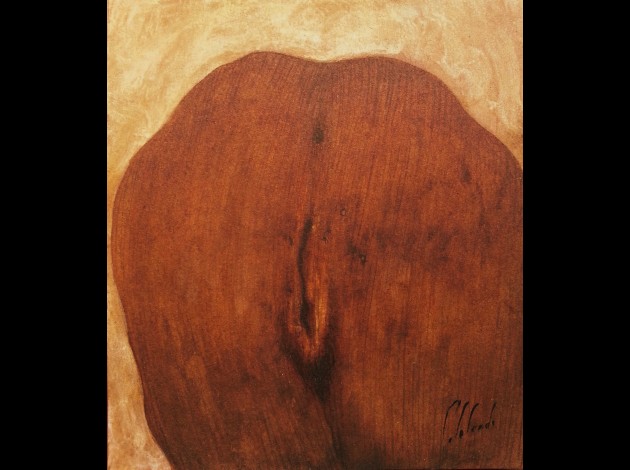 Collant beige