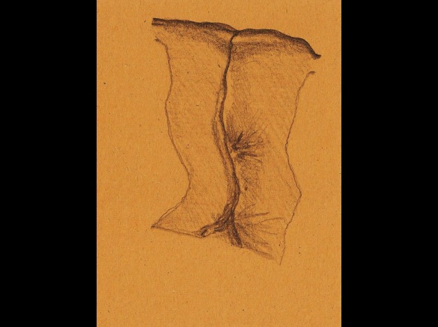 ANUS COLLANT