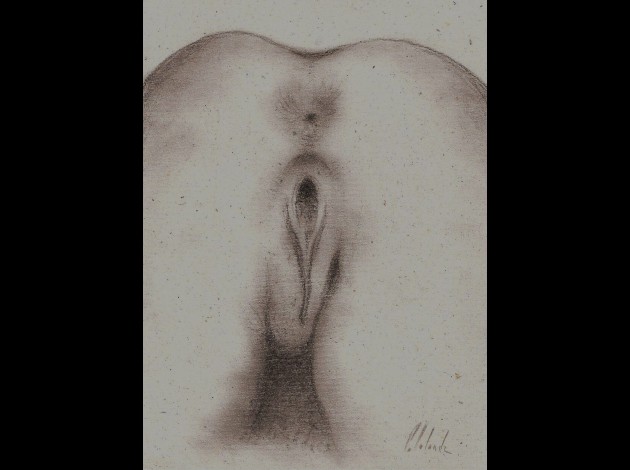 vulve