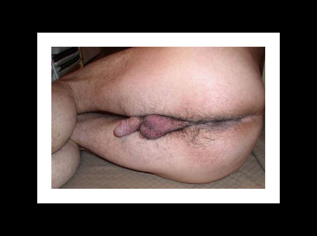 exhib0227