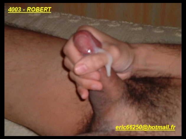 4003 - ROBERT