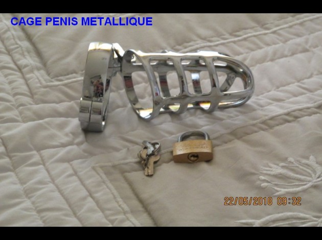 CAGE PENIS METTALIQUE