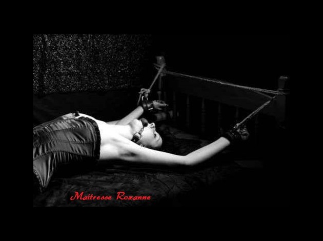 mr bondage