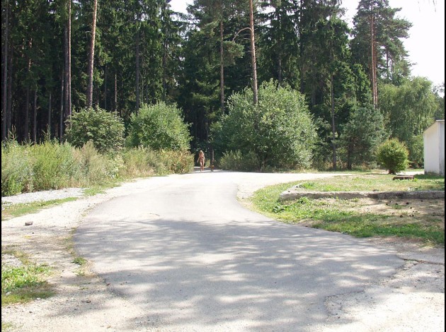 petri565