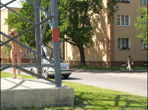 petri982