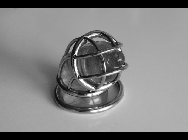 En Cage 2895