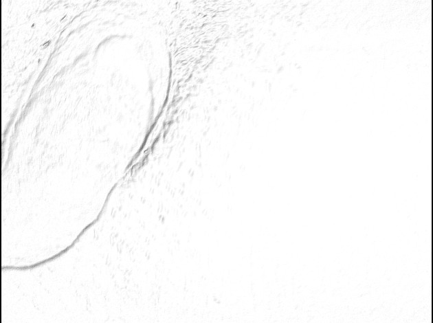 P1180476