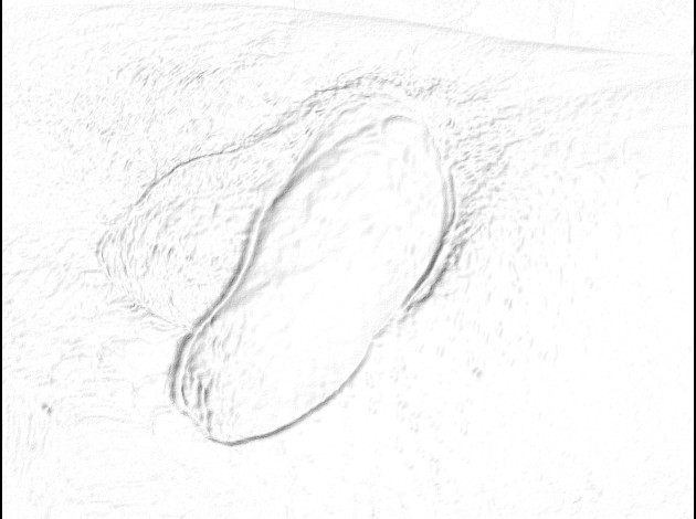 P1180482