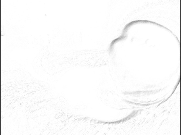 P1180488