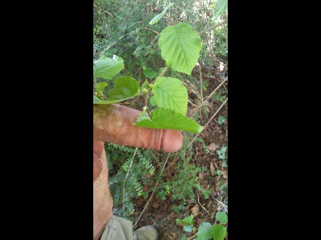sorti nature (12)