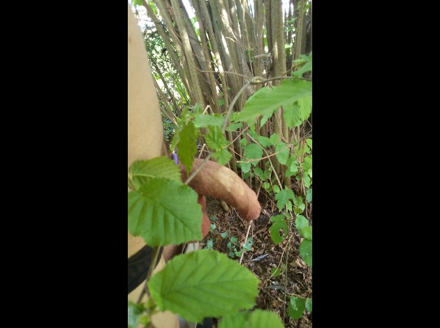 sorti nature (7)