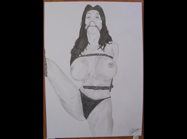 art of bondage n6