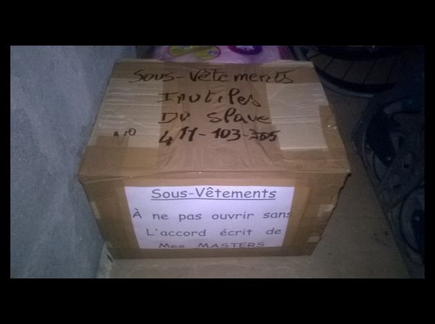 28 - Carton - D - -.-