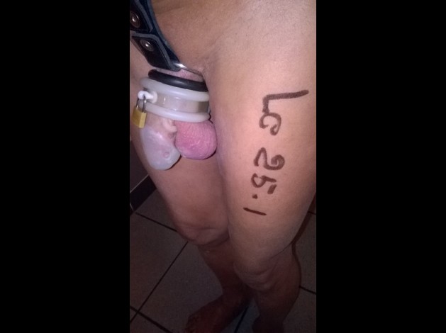 44 - Bureau - D - -.-