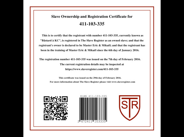 09 - Certificat - 411-103-335 - -.-