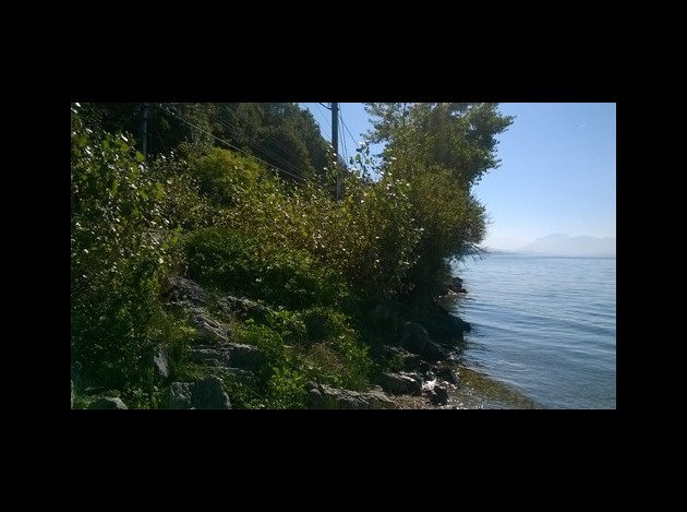 20 - Au Lac - D - -.-