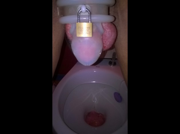 41 - Toilettes - B - -.-