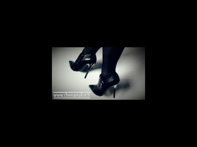 chienamalice talon aiguille-