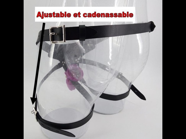 La ceinture de chasteté avec CB6000s 2