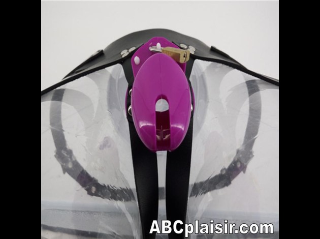 La ceinture de chasteté avec CB6000s 5